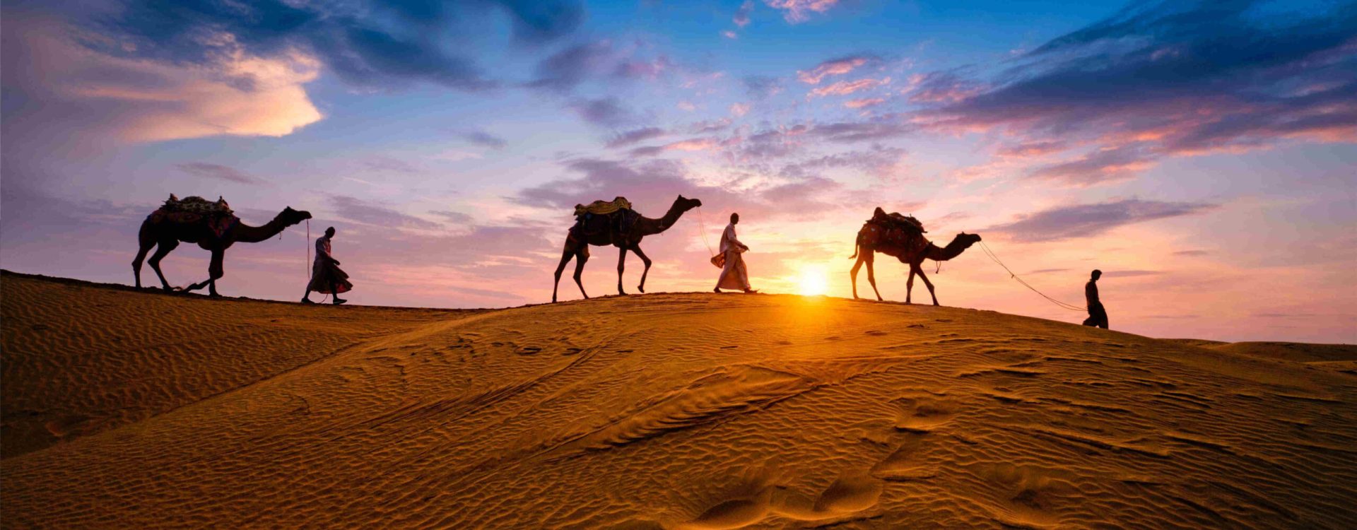 indian-cameleers-camel-driver-with-camel-silhouett-2024-10-18-05-32-02-utc